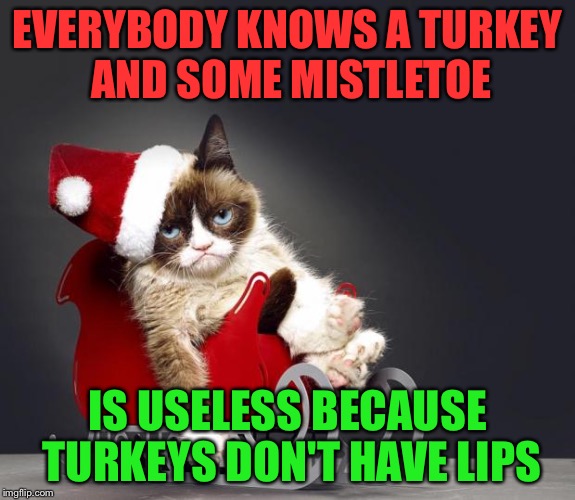 Grumpy Cat's take on The Christmas Song |  EVERYBODY KNOWS A TURKEY AND SOME MISTLETOE; IS USELESS BECAUSE TURKEYS DON'T HAVE LIPS | image tagged in grumpy cat christmas hd | made w/ Imgflip meme maker