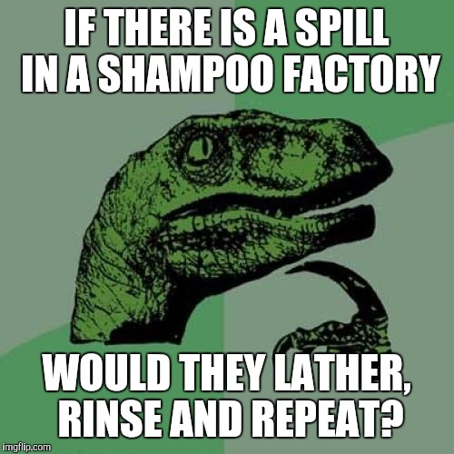 Philosoraptor Meme | IF THERE IS A SPILL IN A SHAMPOO FACTORY; WOULD THEY LATHER, RINSE AND REPEAT? | image tagged in memes,philosoraptor | made w/ Imgflip meme maker