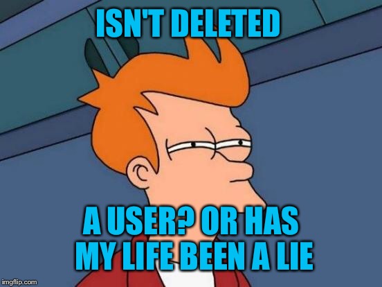 Futurama Fry Meme | ISN'T DELETED A USER? OR HAS MY LIFE BEEN A LIE | image tagged in memes,futurama fry | made w/ Imgflip meme maker