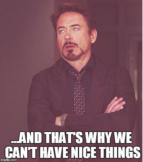 Face You Make Robert Downey Jr Meme | ...AND THAT'S WHY WE CAN'T HAVE NICE THINGS | image tagged in memes,face you make robert downey jr | made w/ Imgflip meme maker