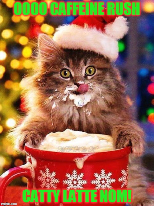 MEOWY CATMAS #4 : DIS MEOWLISHUSH | OOOO CAFFEINE RUSH; CATTY LATTE NOM! | image tagged in meme,meowy catmas,too cute,christmas memes,coffee is my buddy | made w/ Imgflip meme maker