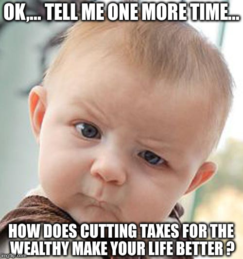 Tax cuts for the wealthy | OK,... TELL ME ONE MORE TIME... HOW DOES CUTTING TAXES FOR THE WEALTHY MAKE YOUR LIFE BETTER ? | image tagged in republican,trump,fascist,trickle down,tax cuts,skeptical baby | made w/ Imgflip meme maker