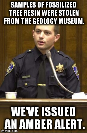 You'll think of this meme the next time your local authorities do one of these. | SAMPLES OF FOSSILIZED TREE RESIN WERE STOLEN FROM THE GEOLOGY MUSEUM. WE'VE ISSUED AN AMBER ALERT. | image tagged in memes,police officer testifying,amber alert | made w/ Imgflip meme maker