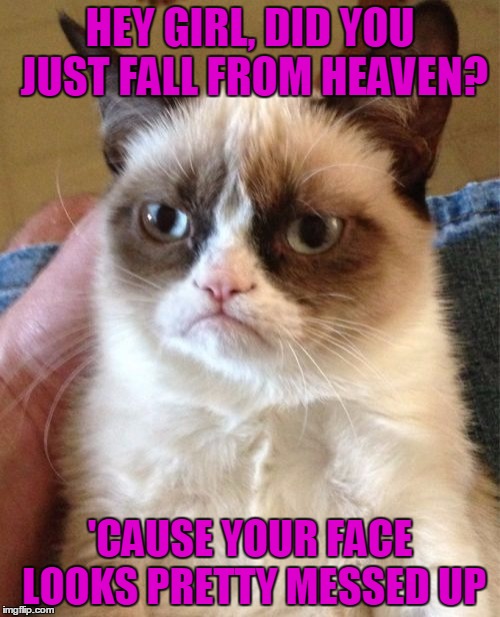 Grump Cat finds love... Sort of | HEY GIRL, DID YOU JUST FALL FROM HEAVEN? 'CAUSE YOUR FACE LOOKS PRETTY MESSED UP | image tagged in memes,grumpy cat,trhtimmy,love | made w/ Imgflip meme maker