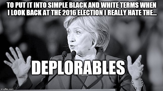 At a 'Fake News Conference' Defeated Hilary is asked: Who ya gonna blame? Who ya gonna hate? | TO PUT IT INTO SIMPLE BLACK AND WHITE TERMS WHEN I LOOK BACK AT THE 2016 ELECTION I REALLY HATE THE…; DEPLORABLES | image tagged in bw terms hillary,memes,election 2016 aftermath,deplorables,hillary clinton,donald trump approves | made w/ Imgflip meme maker