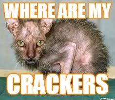sambe crackers | WHERE ARE MY; CRACKERS | image tagged in sambe crackers | made w/ Imgflip meme maker