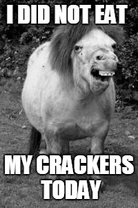 ugly horse | I DID NOT EAT; MY CRACKERS TODAY | image tagged in ugly horse | made w/ Imgflip meme maker