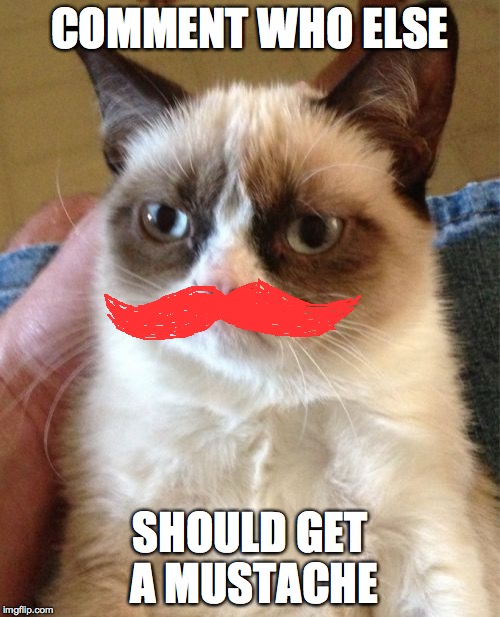Grumpy Cat | COMMENT WHO ELSE; SHOULD GET A MUSTACHE | image tagged in memes,grumpy cat | made w/ Imgflip meme maker