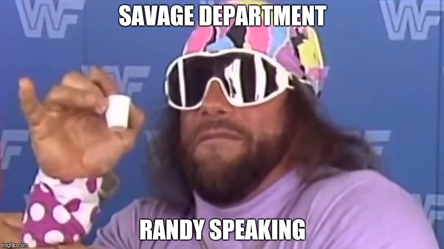 Randy Savage | SAVAGE DEPARTMENT; RANDY SPEAKING | image tagged in randy savage | made w/ Imgflip meme maker