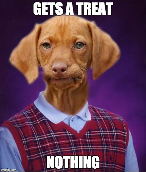 Bad Luck Raydog | GETS A TREAT; NOTHING | image tagged in bad luck raydog | made w/ Imgflip meme maker