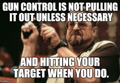 Am I The Only One Around Here Meme | GUN CONTROL IS NOT PULLING IT OUT UNLESS NECESSARY AND HITTING YOUR TARGET WHEN YOU DO. | image tagged in memes,am i the only one around here | made w/ Imgflip meme maker