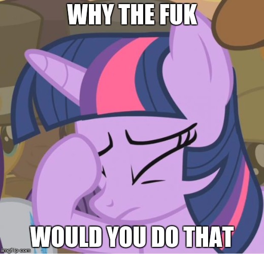 Mlp Twilight Sparkle facehoof | WHY THE FUK; WOULD YOU DO THAT | image tagged in mlp twilight sparkle facehoof | made w/ Imgflip meme maker