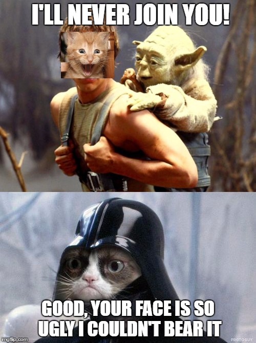 I'LL NEVER JOIN YOU! GOOD, YOUR FACE IS SO UGLY I COULDN'T BEAR IT | image tagged in grumpy cat | made w/ Imgflip meme maker