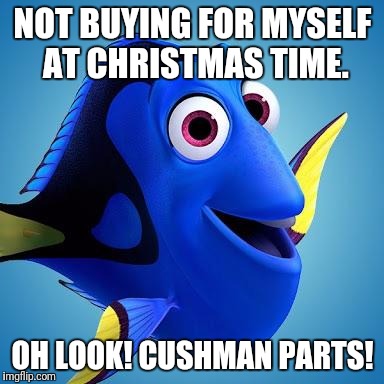 Dory from Finding Nemo | NOT BUYING FOR MYSELF AT CHRISTMAS TIME. OH LOOK! CUSHMAN PARTS! | image tagged in dory from finding nemo | made w/ Imgflip meme maker