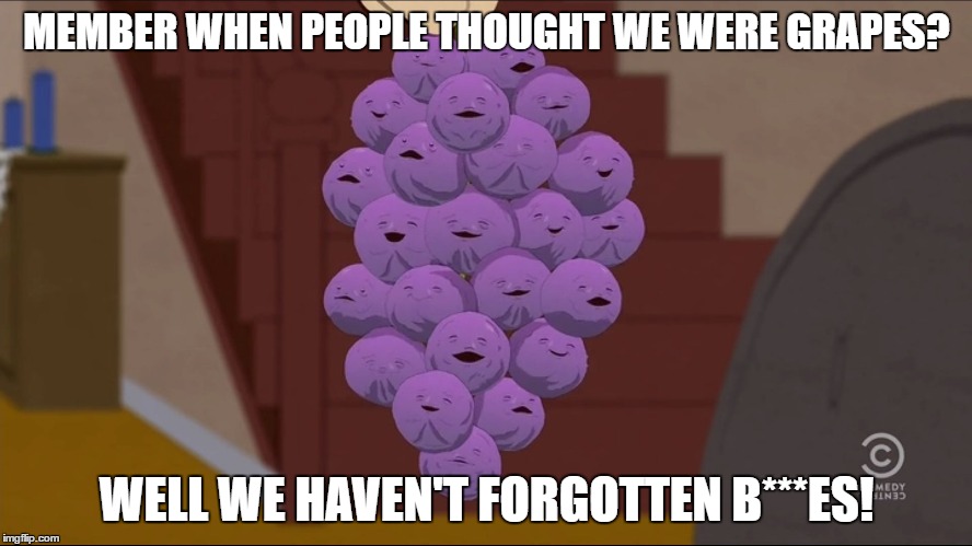 Member Berries Meme | MEMBER WHEN PEOPLE THOUGHT WE WERE GRAPES? WELL WE HAVEN'T FORGOTTEN B***ES! | image tagged in memes,member berries | made w/ Imgflip meme maker
