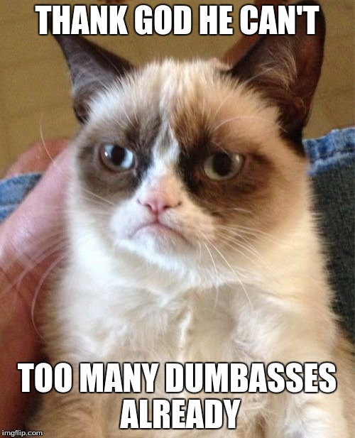 Grumpy Cat Meme | THANK GOD HE CAN'T TOO MANY DUMBASSES ALREADY | image tagged in memes,grumpy cat | made w/ Imgflip meme maker