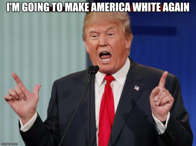 I'M GOING TO MAKE AMERICA WHITE AGAIN | made w/ Imgflip meme maker