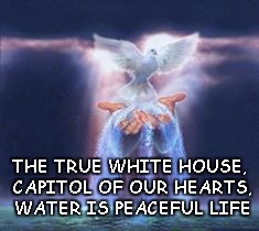 The True White House | THE TRUE WHITE HOUSE, CAPITOL OF OUR HEARTS, WATER IS PEACEFUL LIFE | image tagged in love,water,peace | made w/ Imgflip meme maker