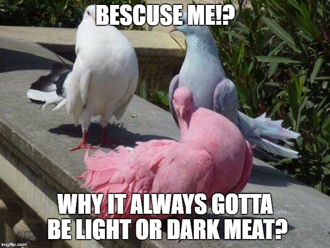 BESCUSE ME!? WHY IT ALWAYS GOTTA BE LIGHT OR DARK MEAT? | image tagged in pigeon,bescuse,meat,pink,blue,white | made w/ Imgflip meme maker