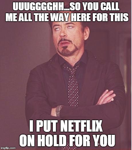 Face You Make Robert Downey Jr Meme | UUUGGGGHH...SO YOU CALL ME ALL THE WAY HERE FOR THIS; I PUT NETFLIX ON HOLD FOR YOU | image tagged in memes,face you make robert downey jr | made w/ Imgflip meme maker