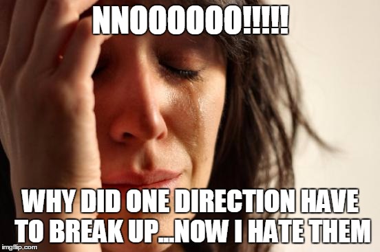First World Problems Meme | NNOOOOOO!!!!! WHY DID ONE DIRECTION HAVE TO BREAK UP...NOW I HATE THEM | image tagged in memes,first world problems | made w/ Imgflip meme maker
