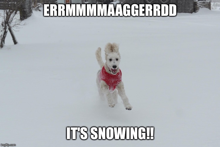 It's snowing! | ERRMMMMAAGGERRDD; IT'S SNOWING!! | image tagged in bad luck brian | made w/ Imgflip meme maker