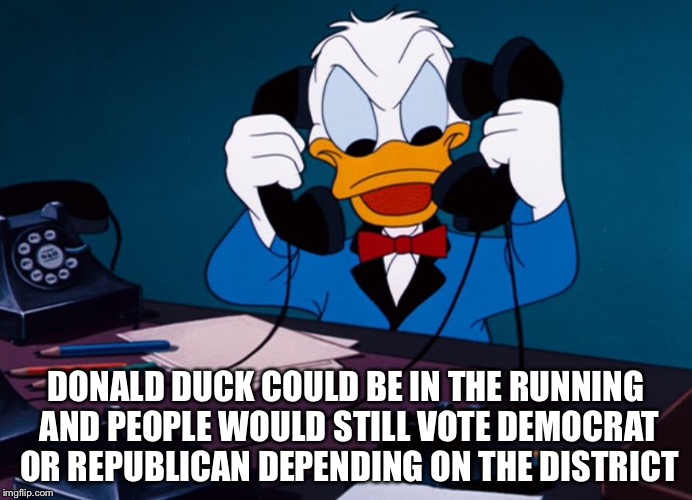 We're Stuck In a Rut | DONALD DUCK COULD BE IN THE RUNNING AND PEOPLE WOULD STILL VOTE DEMOCRAT OR REPUBLICAN DEPENDING ON THE DISTRICT | image tagged in donald duck,republican,democrats,vote | made w/ Imgflip meme maker