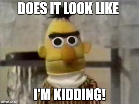 Bert Stare | DOES IT LOOK LIKE; I'M KIDDING! | image tagged in bert stare | made w/ Imgflip meme maker