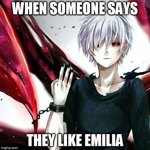 Typical | WHEN SOMEONE SAYS; THEY LIKE EMILIA | image tagged in anime meme | made w/ Imgflip meme maker