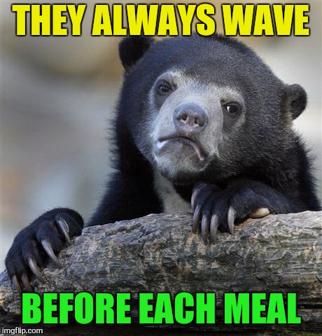 Confession Bear Meme | THEY ALWAYS WAVE BEFORE EACH MEAL | image tagged in memes,confession bear | made w/ Imgflip meme maker