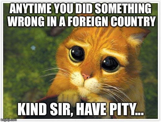 Shrek Cat Meme | ANYTIME YOU DID SOMETHING WRONG IN A FOREIGN COUNTRY; KIND SIR, HAVE PITY... | image tagged in memes,shrek cat | made w/ Imgflip meme maker