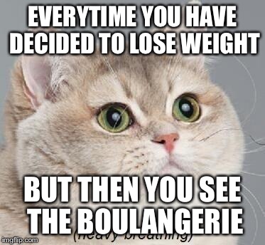 Heavy Breathing Cat Meme | EVERYTIME YOU HAVE DECIDED TO LOSE WEIGHT; BUT THEN YOU SEE THE BOULANGERIE | image tagged in memes,heavy breathing cat | made w/ Imgflip meme maker