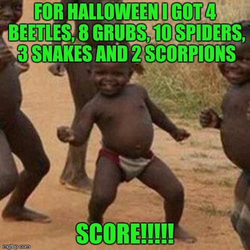 Third World Success Kid | FOR HALLOWEEN I GOT 4 BEETLES, 8 GRUBS, 10 SPIDERS, 3 SNAKES AND 2 SCORPIONS; SCORE!!!!! | image tagged in memes,third world success kid | made w/ Imgflip meme maker