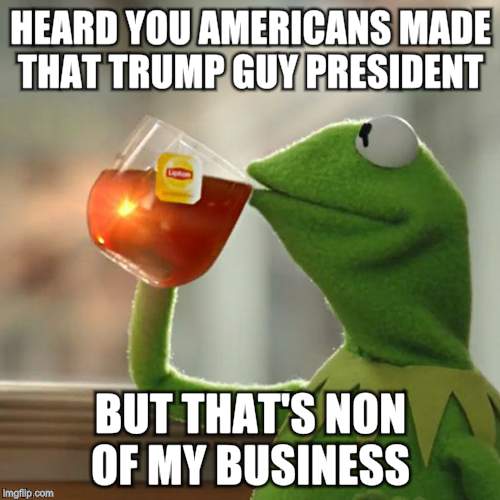 But That's None Of My Business Meme | HEARD YOU AMERICANS MADE THAT TRUMP GUY PRESIDENT; BUT THAT'S NON OF MY BUSINESS | image tagged in memes,but thats none of my business,kermit the frog | made w/ Imgflip meme maker