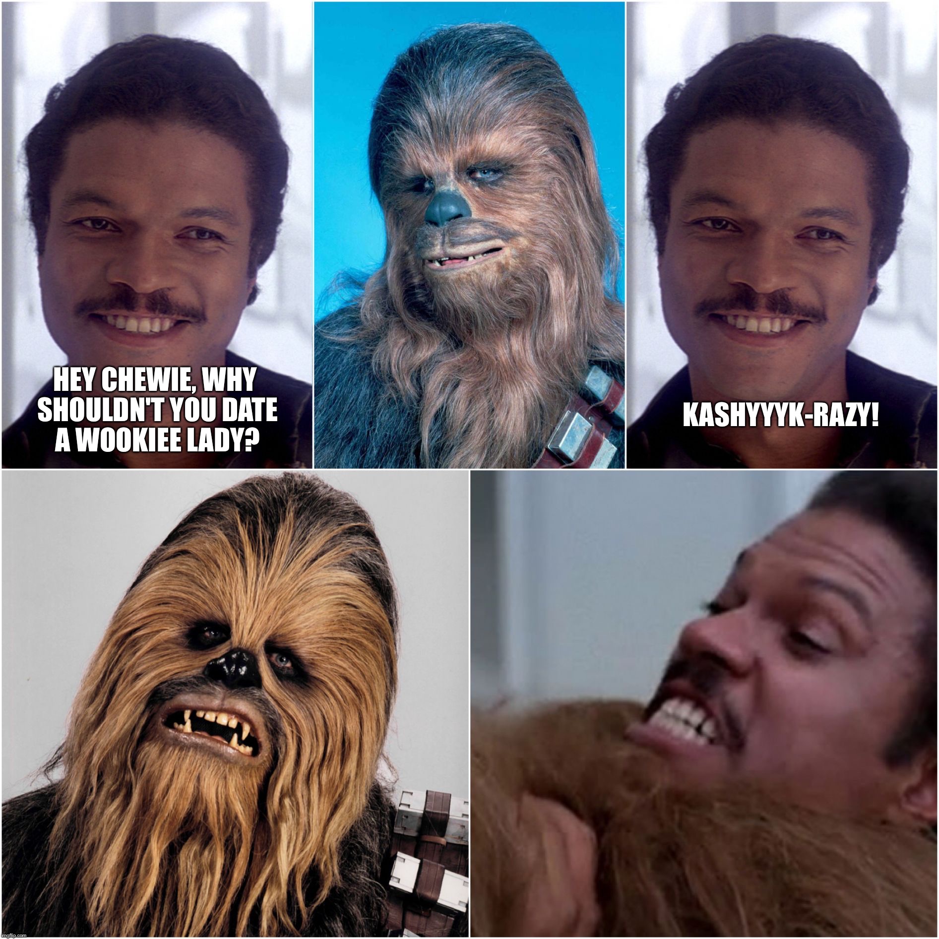 Star Wars jokes are funny | KASHYYYK-RAZY! HEY CHEWIE, WHY SHOULDN'T YOU DATE A WOOKIEE LADY? | image tagged in lando and chewbacca,star wars,chewbacca,lando calrissian,star wars memes,star wars the empire strikes back | made w/ Imgflip meme maker