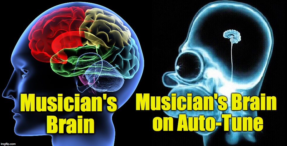 Any Questions? | Musician's Brain on Auto-Tune; Musician's Brain | image tagged in auto,tune | made w/ Imgflip meme maker