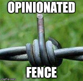 Opinionated Fence | OPINIONATED; FENCE | image tagged in barbedwirebirdie,fence,barbed wire | made w/ Imgflip meme maker