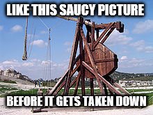 LIKE THIS SAUCY PICTURE; BEFORE IT GETS TAKEN DOWN | image tagged in dank,trebuchet,bad luck brian,scumbag,memes,one does not simply | made w/ Imgflip meme maker