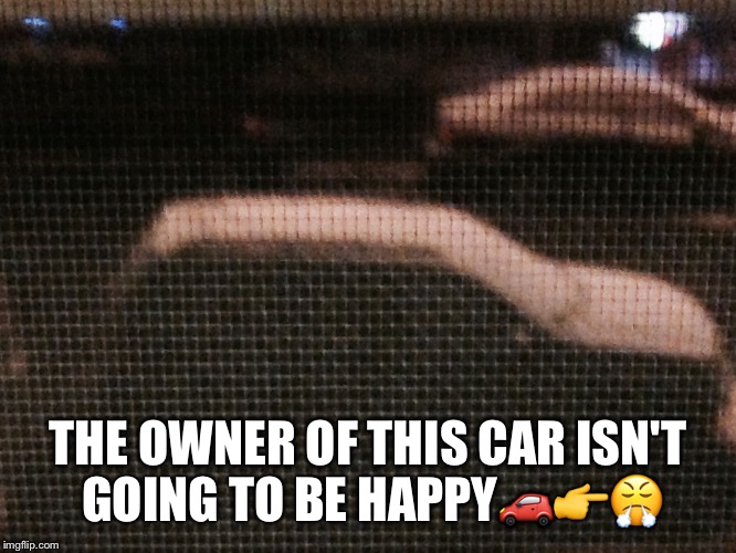 THE OWNER OF THIS CAR ISN'T GOING TO BE HAPPY🚗👉😤 | image tagged in the most interesting man in the world | made w/ Imgflip meme maker