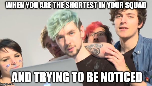 WHEN YOU ARE THE SHORTEST IN YOUR SQUAD; AND TRYING TO BE NOTICED | image tagged in truth | made w/ Imgflip meme maker