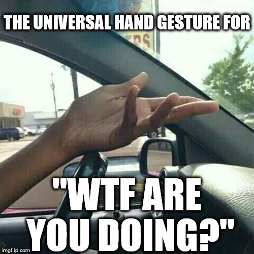  THE UNIVERSAL HAND GESTURE FOR; "WTF ARE YOU DOING?" | image tagged in wtf | made w/ Imgflip meme maker