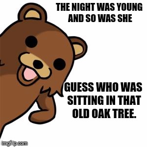 THE NIGHT WAS YOUNG AND SO WAS SHE GUESS WHO WAS SITTING IN THAT OLD OAK TREE. | made w/ Imgflip meme maker