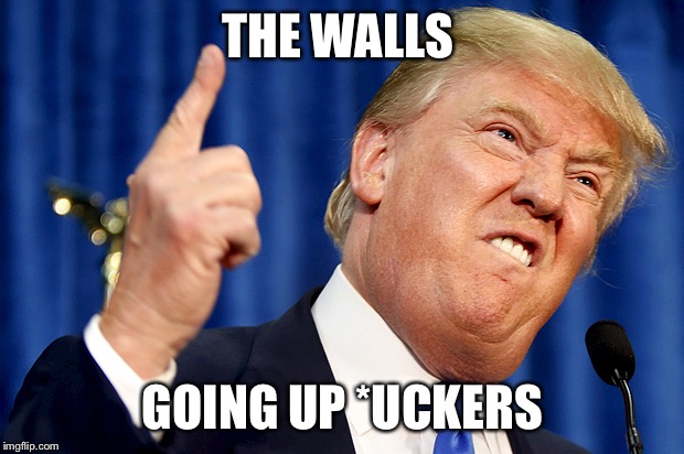 Donald Trump | THE WALLS; GOING UP *UCKERS | image tagged in donald trump | made w/ Imgflip meme maker