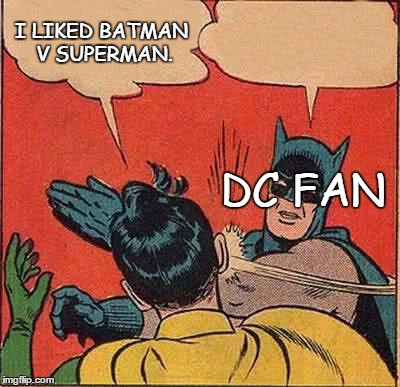 Batman Slapping Robin | I LIKED BATMAN V SUPERMAN. DC FAN | image tagged in memes,batman slapping robin | made w/ Imgflip meme maker