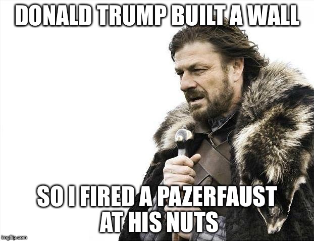 Brace Yourselves X is Coming | DONALD TRUMP BUILT A WALL; SO I FIRED A PAZERFAUST AT HIS NUTS | image tagged in donald trump | made w/ Imgflip meme maker