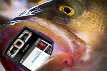 Tech Savvy Fish Blank Meme Template