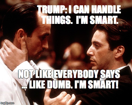 godfather fredo michael kiss of death | TRUMP: I CAN HANDLE THINGS.  I'M SMART. NOT LIKE EVERYBODY SAYS ... LIKE DUMB. I'M SMART! | image tagged in godfather fredo michael kiss of death | made w/ Imgflip meme maker