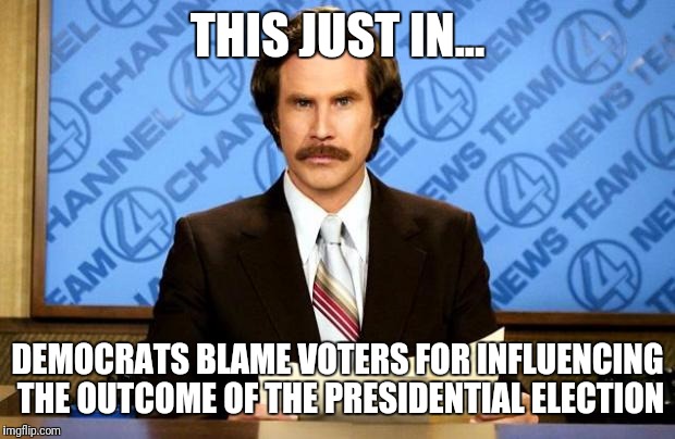 BREAKING NEWS | THIS JUST IN... DEMOCRATS BLAME VOTERS FOR INFLUENCING THE OUTCOME OF THE PRESIDENTIAL ELECTION | image tagged in breaking news,presidential race,trump,hillary clinton,democrats | made w/ Imgflip meme maker