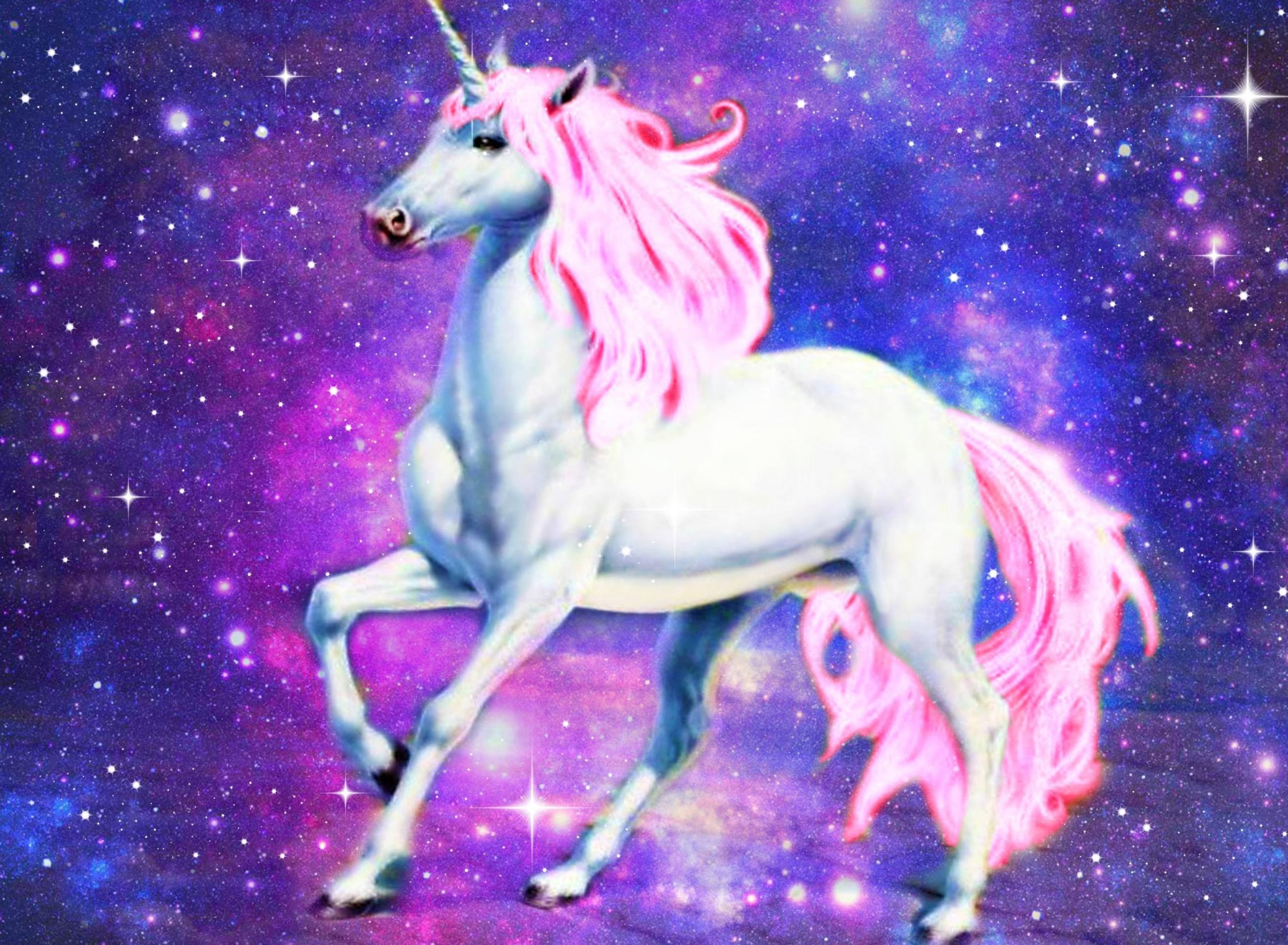 unicorn 1 Blank Meme Template