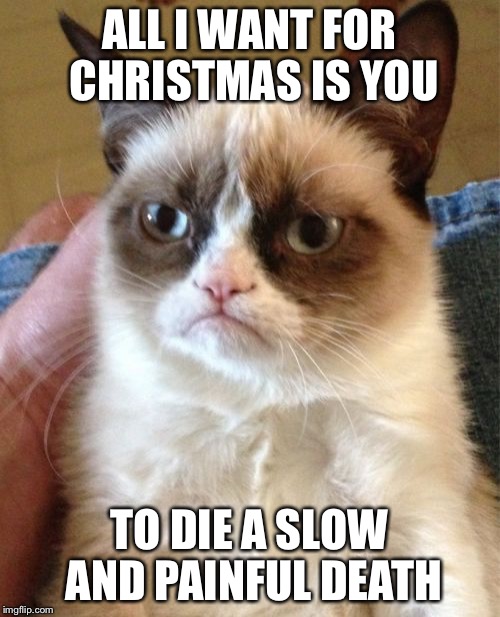 Grumpy Cat Meme | ALL I WANT FOR CHRISTMAS IS YOU; TO DIE A SLOW AND PAINFUL DEATH | image tagged in memes,grumpy cat | made w/ Imgflip meme maker